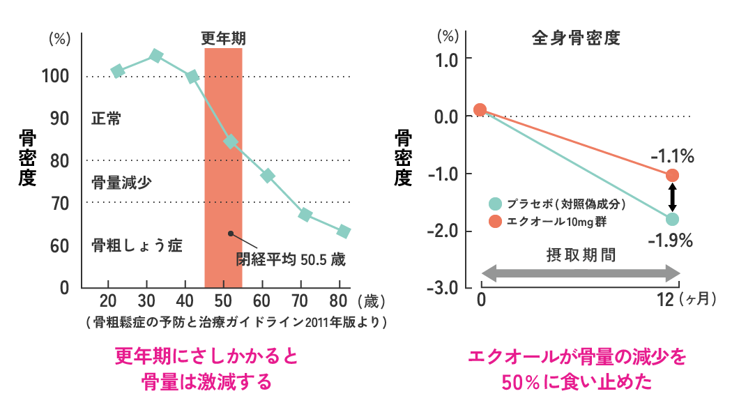 エクオール効果　骨密度グラフ