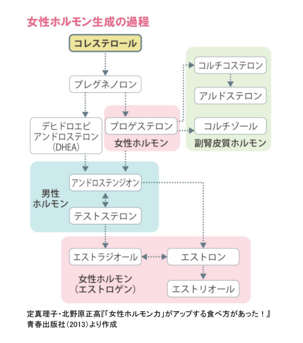 女性ホルモン生成の過程を示した図　女性ホルモンは、材料はコレステロールです。コレステロールから女性ホルモンの１つ プロゲステロンが生成されます。またプロゲステロンから男性ホルモン（アンドロステンジオン、テストステロン）を経てエストラジオールなど女性ホルモンのエストロゲンが生成されます。