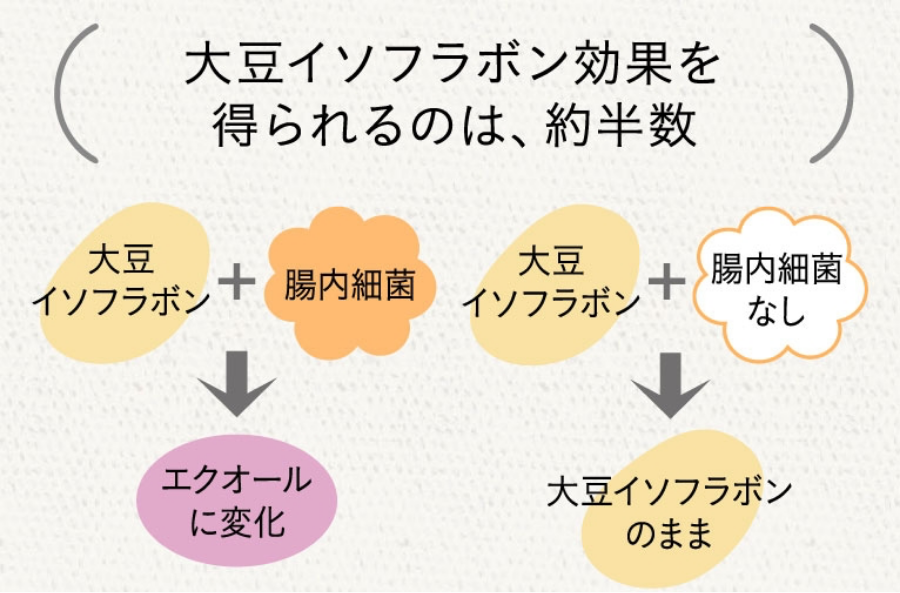 大豆イソフラボン効果を得られるのは約半数