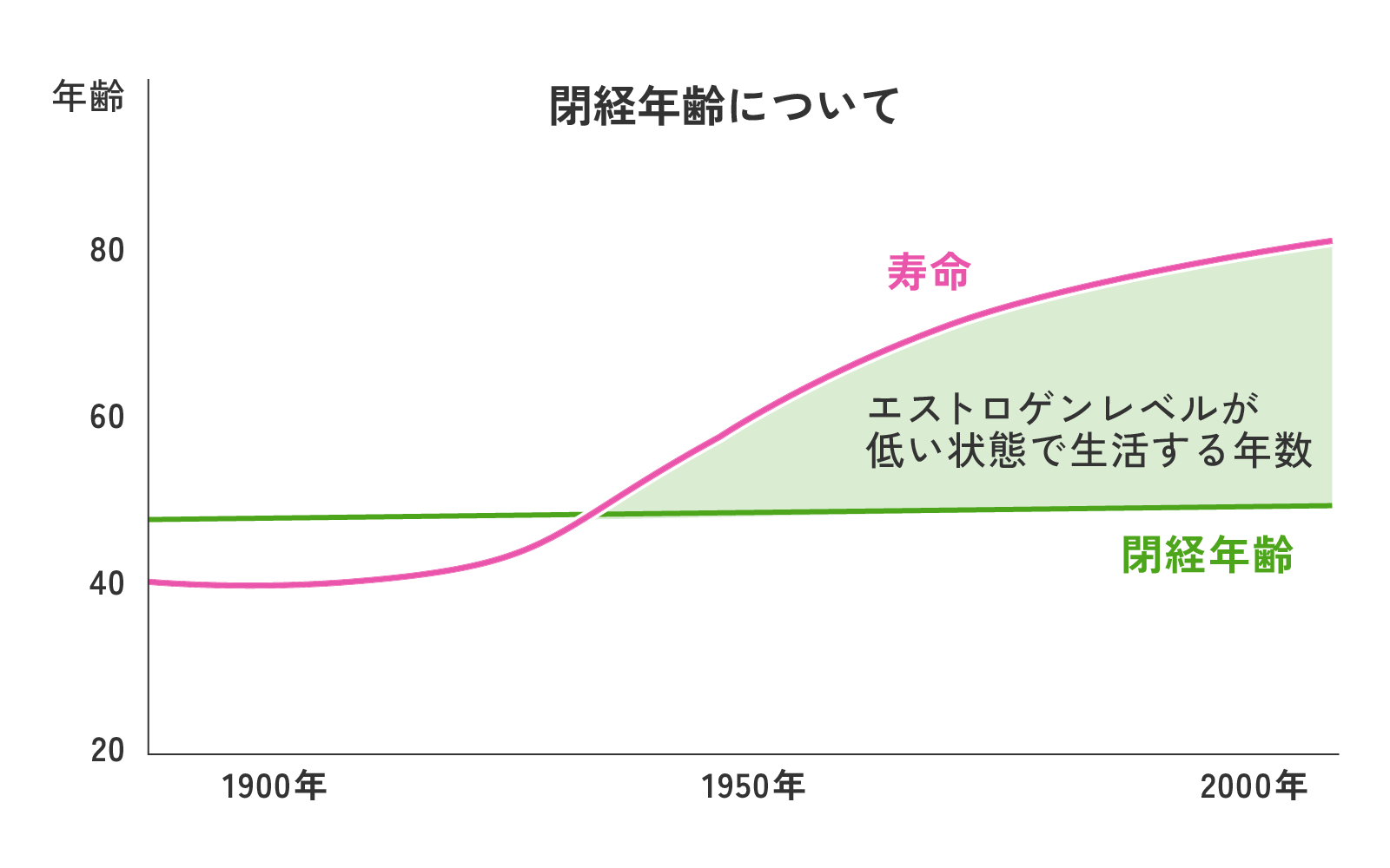 閉経年齢について