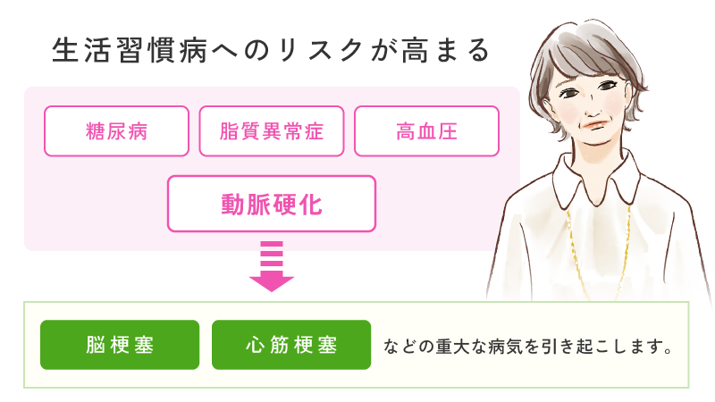 閉経以降は生活習慣病へのリスクも高まります。動脈硬化は心筋梗塞や脳梗塞など重大な病気を引き起こす危険因子のため、閉経後の女性は特に注意が必要。
