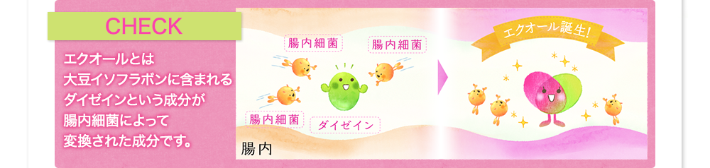 CHECK　エクオールとは大豆イソフラボンに含まれるダイゼインという成分が腸内細菌によって変換された成分です。