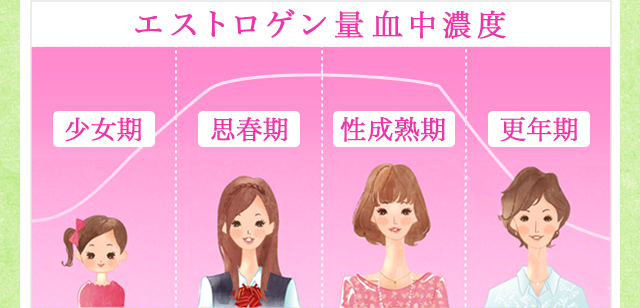 エストロゲン量血中濃度